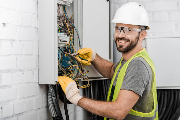 Best Electric Panel Repair  in Palmer, TX